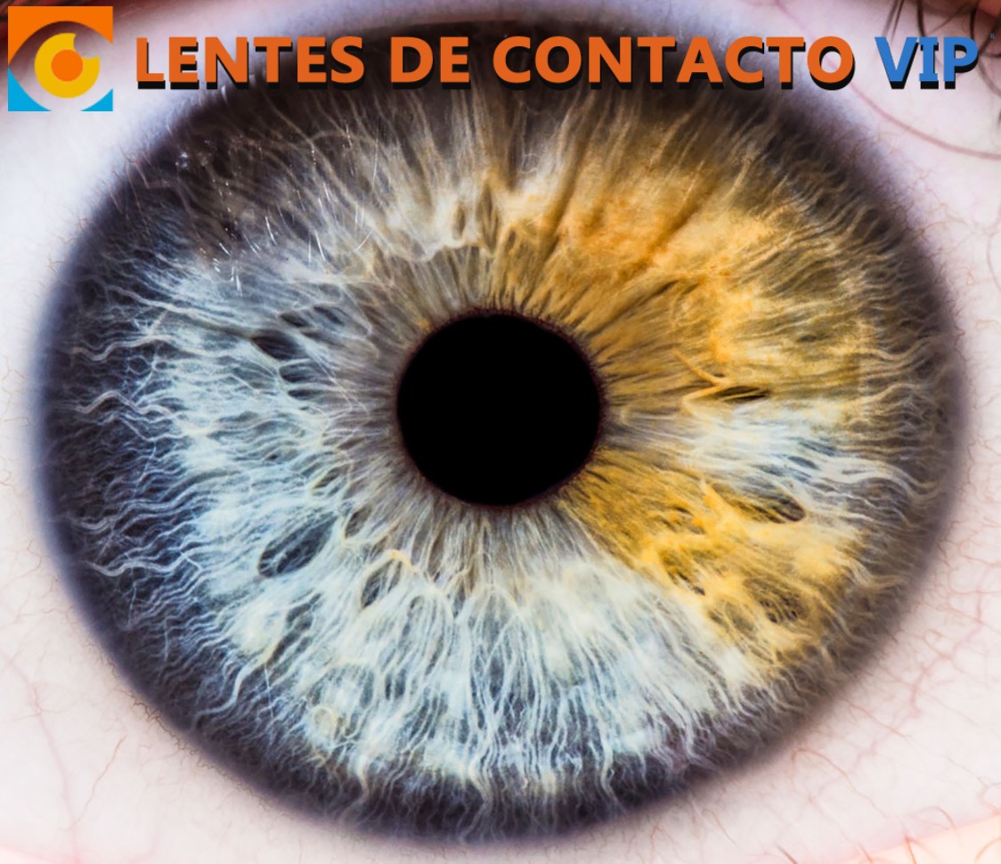 ¿Cuáles son los colores de ojos mas comunes?